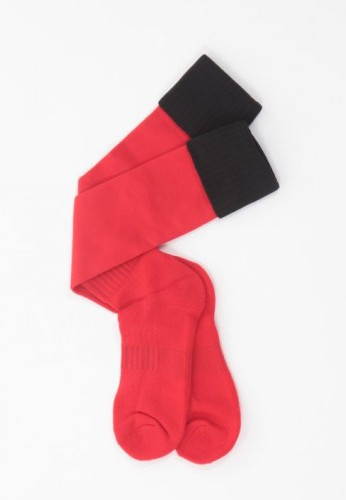 Haygrove Rugby Socks (vat size)