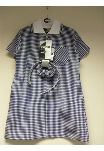 Blue A-Line Gingham Dress