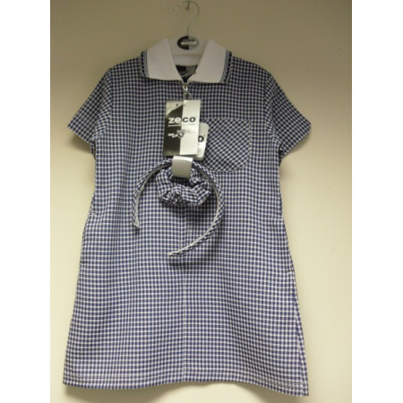 Blue A-Line Gingham Dress