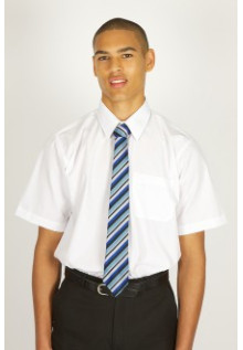 Plain White Short Sleeve Easycare Shirts 2pk  (14.5-17.5)  