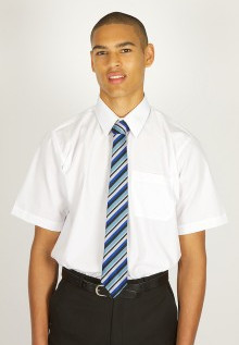 Plain White Short Sleeve Easycare Shirts 2pk  (14.5-17.5)  