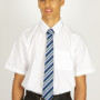 Plain White Short Sleeve Easycare Shirts ( 2pk)