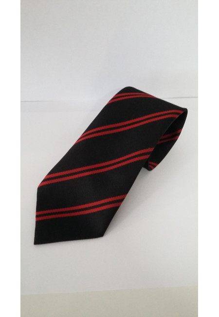 Haygrove Clip on Tie