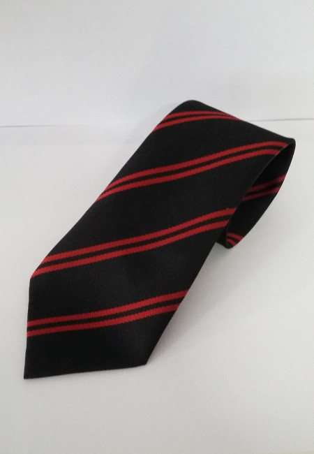 Haygrove Clip on Tie