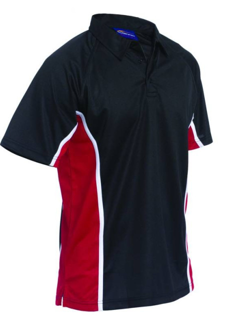 Haygrove Boys Polo  (vat sizes)