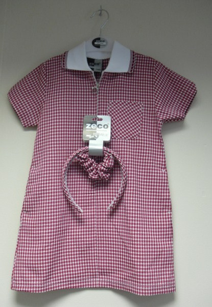 Red A- Line Gingham dress