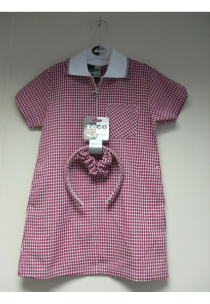 Red A- Line Gingham dress