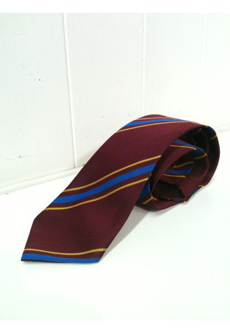 St John and St Francis  Tie (standard for year 3 upwards)